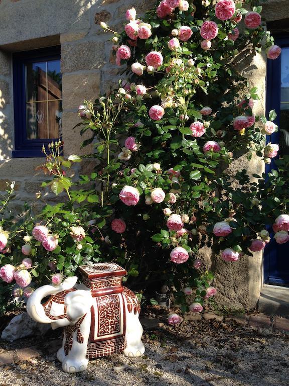 Le Domaine De Saint-Thomin Bed & Breakfast Nostang ภายนอก รูปภาพ